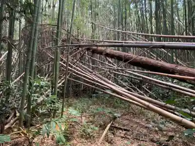 西福寺(千葉県)