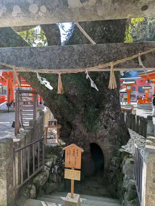 熊野那智大社(和歌山県)