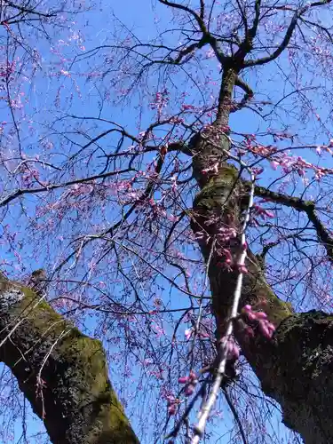 安養寺(福井県)