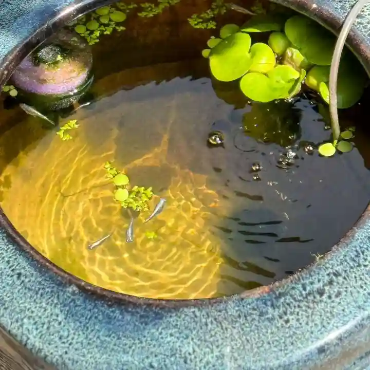 伊勢の国 四天王寺(三重県)