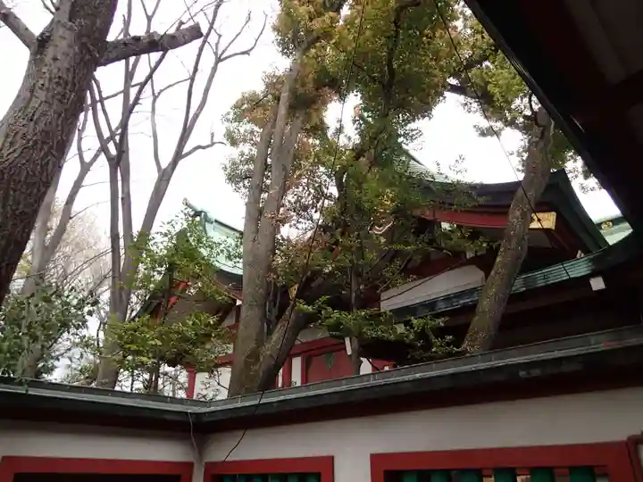 富岡八幡宮の本殿・本堂