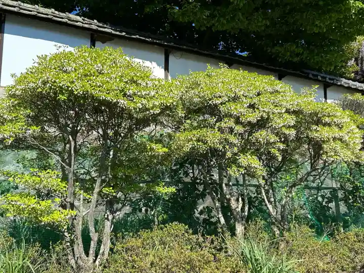 玄向寺の{uncategorized: "未分類", other: "その他", undefined: "問題あり", building: "その他建物", grave: "お墓", sacred_gate: "鳥居", guardian: "狛犬", statue: "像", buddha: "仏像", history: "歴史", nature: "自然", garden: "庭園", animal: "動物", pagoda: "塔", temizu: "手水舎", mountain_gate: "山門・神門", sanctuary: "本殿・本堂", subordinate: "末社・摂社", art: "芸術", scenery: "景色", jizo: "地蔵", ema: "絵馬", goshuin: "御朱印", omikuji: "おみくじ", items: "授与品その他", amulet: "お守り", goshuincho: "御朱印帳", eats: "食事", festival: "お祭り", votive_dance: "神楽", shichigosan: "七五三参", wedding: "結婚式", experience: "体験その他", initially: "初詣", around: "周辺", anti_infection: "感染症対策"}