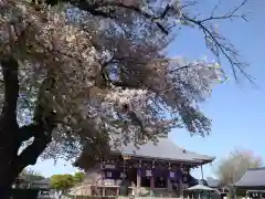 池上本門寺(東京都)