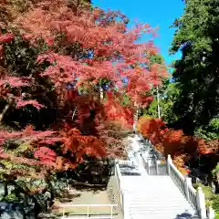 尊永寺の自然