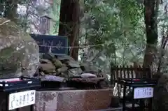 飛瀧神社（熊野那智大社別宮）の自然