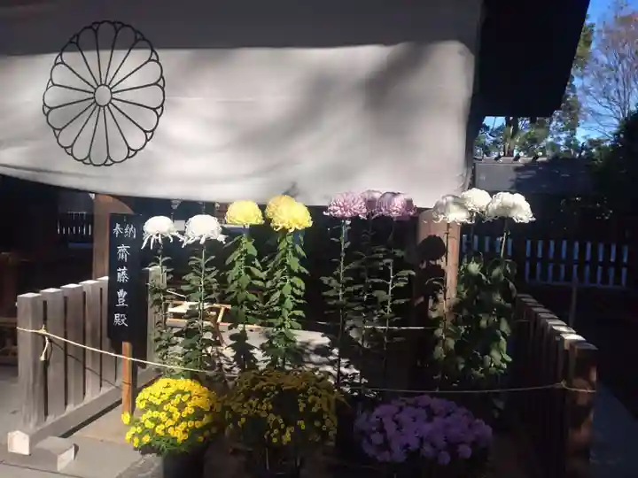 阿佐ヶ谷神明宮の自然