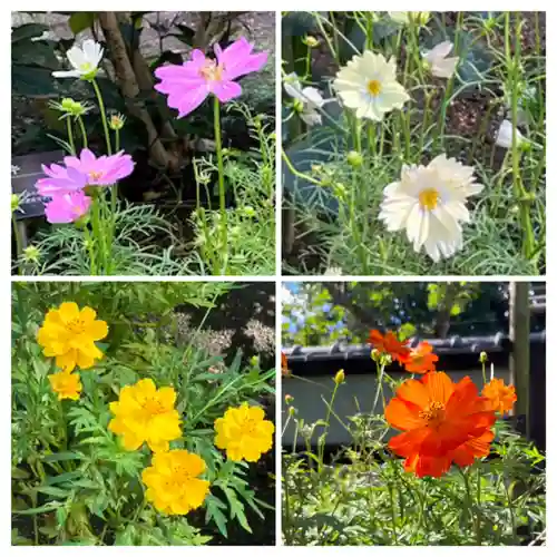 上野東照宮(東京都)