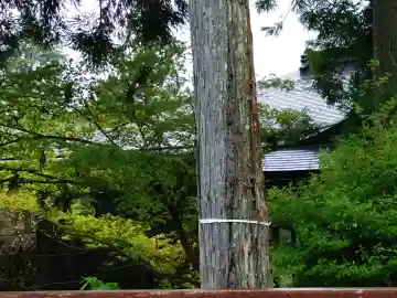 蓮金院(和歌山県)