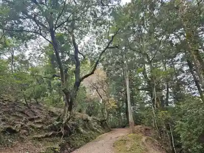春日大社(奈良県)
