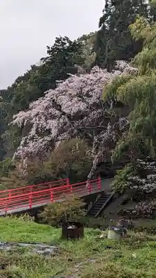 正法寺(京都府)