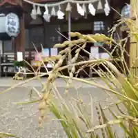 七重浜海津見神社の自然