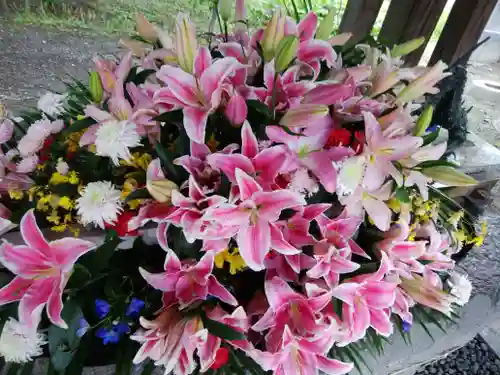 彌彦神社　(伊夜日子神社)の手水舎