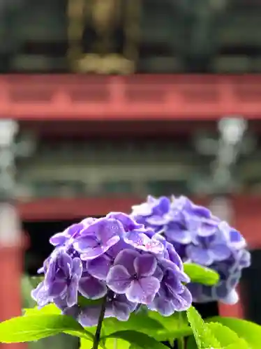 楽法寺（雨引観音）の自然