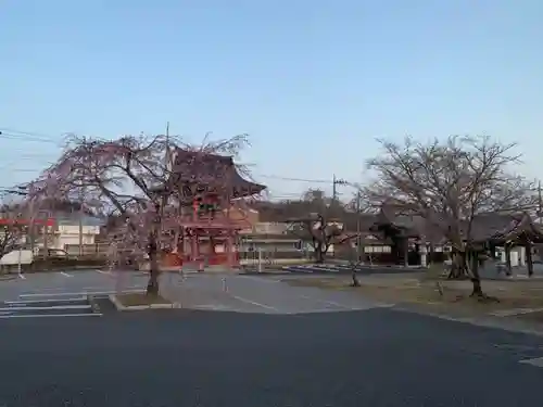 西光院（浄楽寺）のその他建物