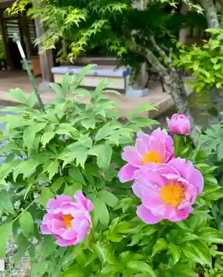 洞慶院(静岡県)