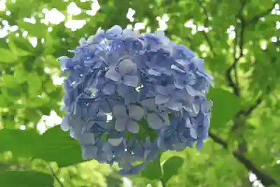 正安寺(神奈川県)