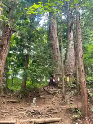 戸隠神社火之御子社の{uncategorized: "未分類", other: "その他", undefined: "問題あり", building: "その他建物", grave: "お墓", sacred_gate: "鳥居", guardian: "狛犬", statue: "像", buddha: "仏像", history: "歴史", nature: "自然", garden: "庭園", animal: "動物", pagoda: "塔", temizu: "手水舎", mountain_gate: "山門・神門", sanctuary: "本殿・本堂", subordinate: "末社・摂社", art: "芸術", scenery: "景色", jizo: "地蔵", ema: "絵馬", goshuin: "御朱印", omikuji: "おみくじ", items: "授与品その他", amulet: "お守り", goshuincho: "御朱印帳", eats: "食事", festival: "お祭り", votive_dance: "神楽", shichigosan: "七五三参", wedding: "結婚式", experience: "体験その他", initially: "初詣", around: "周辺", anti_infection: "感染症対策"}