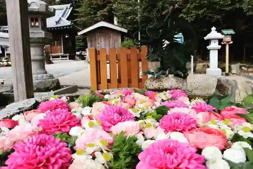 立志神社の手水舎