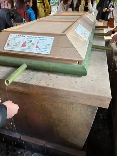 明治神宮(東京都)