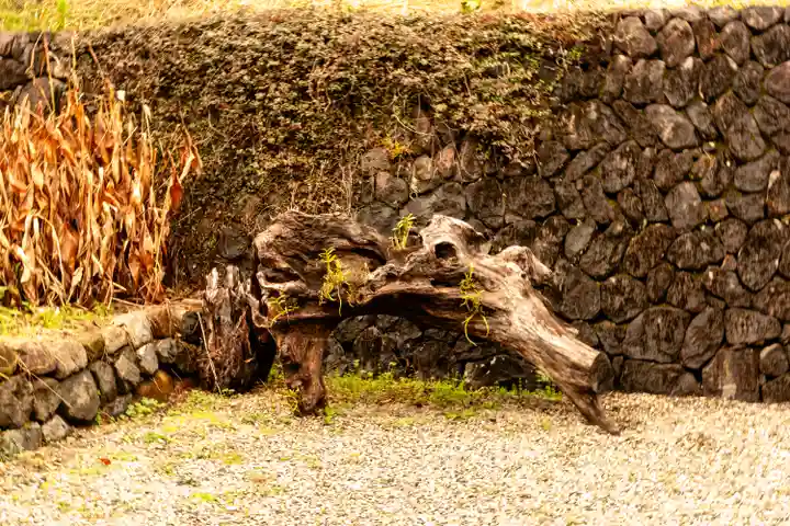 都農神社(宮崎県)