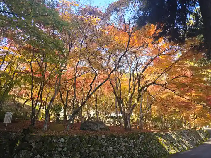 長安寺(京都府)