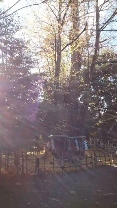 大國魂神社(東京都)