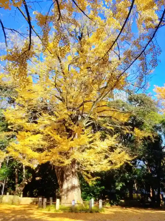 赤坂氷川神社(東京都)