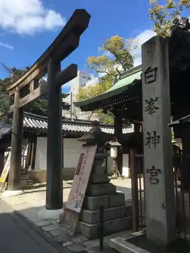 白峯神宮の鳥居