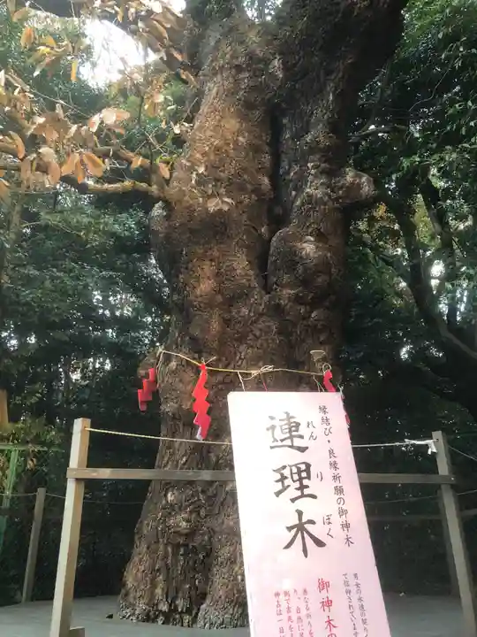 城山八幡宮の御朱印