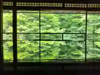 光明寺瑠璃光院(京都府)