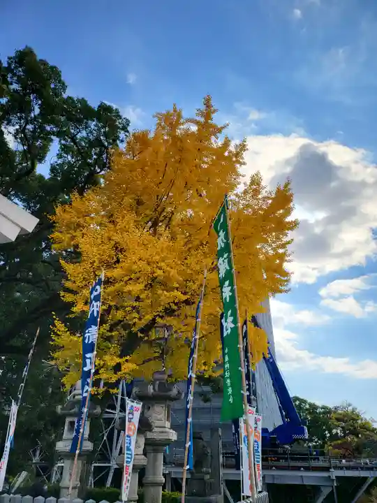 加藤神社(熊本県)