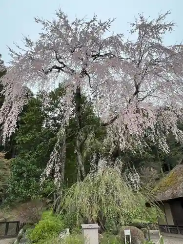 高麗神社(埼玉県)