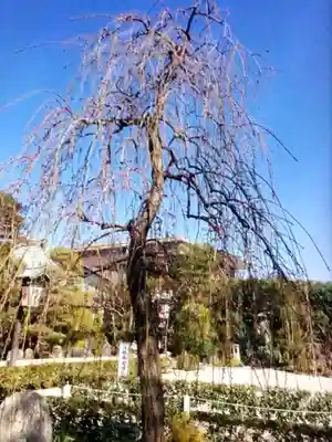 常性寺(東京都)