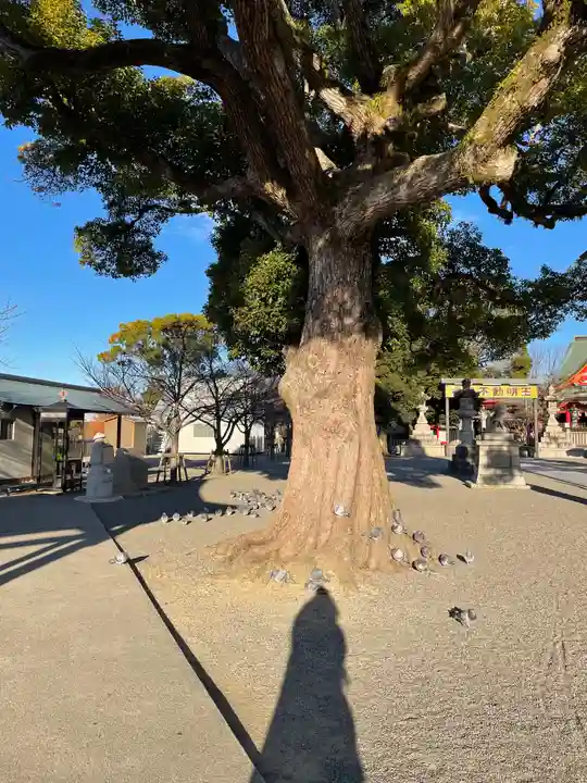 成田山大阪別院 明王院の自然