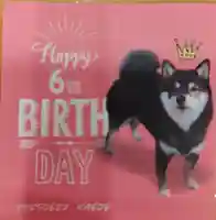 上目黒氷川神社(東京都)