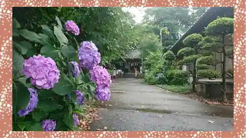 馬場氷川神社(埼玉県)