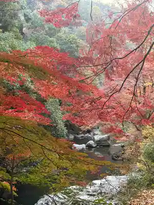 豪溪寺(岡山県)