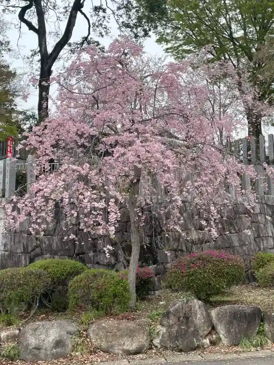 永光寺(牡丹不動尊) の{uncategorized: "未分類", other: "その他", undefined: "問題あり", building: "その他建物", grave: "お墓", sacred_gate: "鳥居", guardian: "狛犬", statue: "像", buddha: "仏像", history: "歴史", nature: "自然", garden: "庭園", animal: "動物", pagoda: "塔", temizu: "手水舎", mountain_gate: "山門・神門", sanctuary: "本殿・本堂", subordinate: "末社・摂社", art: "芸術", scenery: "景色", jizo: "地蔵", ema: "絵馬", goshuin: "御朱印", omikuji: "おみくじ", items: "授与品その他", amulet: "お守り", goshuincho: "御朱印帳", eats: "食事", festival: "お祭り", votive_dance: "神楽", shichigosan: "七五三参", wedding: "結婚式", experience: "体験その他", initially: "初詣", around: "周辺", anti_infection: "感染症対策"}