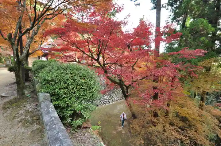 西山興隆寺の自然