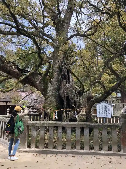 大山祇神社のその他建物