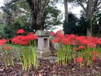 金蔵院(千葉県)