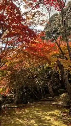 勝持寺（花の寺）(京都府)