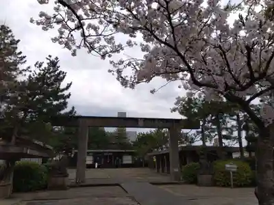 福井神社(福井県)