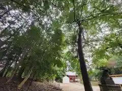 中山神社の建物その他