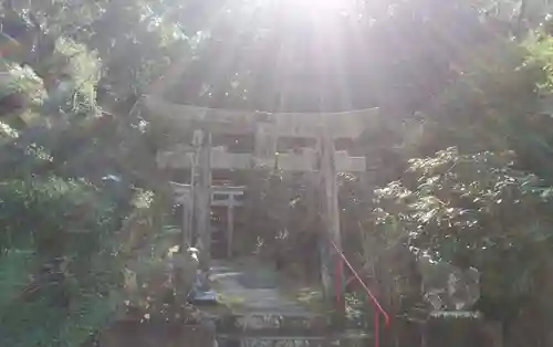 石穴稲荷神社の鳥居