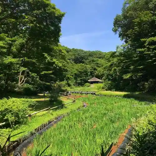 明治神宮の庭園