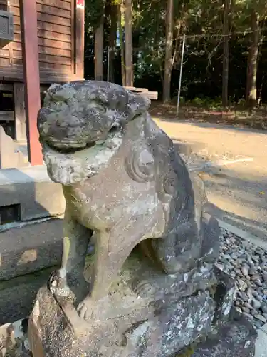 安房神社の狛犬