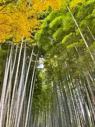 化野念仏寺(京都府)