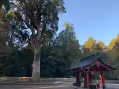 霧島神宮の建物その他