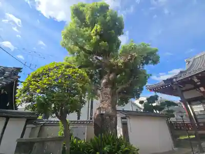祐貞寺(大阪府)